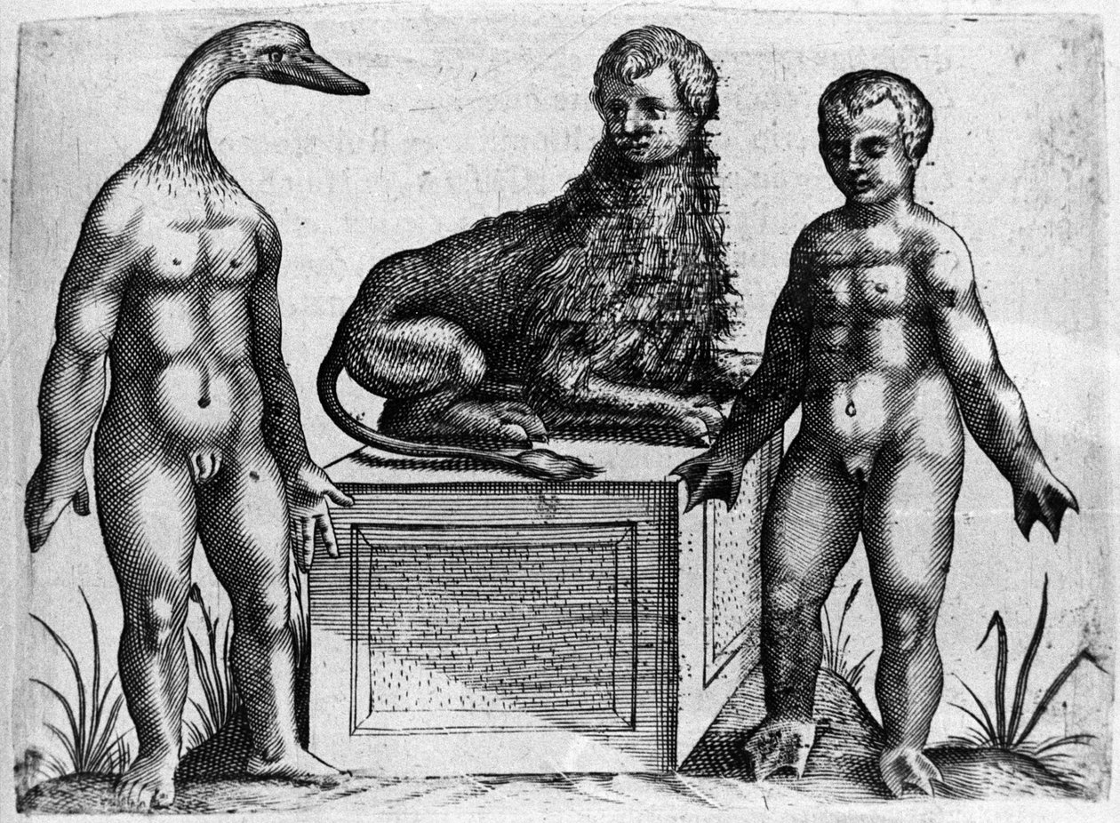 Erilaisia ihmishirviöitä: miehellä ankan pää, miehellä leijonan ruumis ja toisella kämmenkädet. Italian tiedemiehen Fortunio Licetin (1577-1656) kaiverrus "De monstrorum natura, causis et differentiis". 1646 tekijältä Italian School