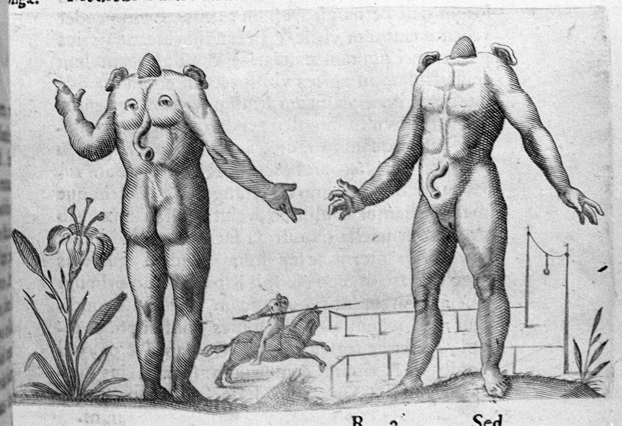 Erilaisia ​​ihmishirviöitä: mies ilman päätä. Italian tiedemiehen Fortunio Licetin (1577-1656) kaiverrus "Hirviöiden luonne, syyt ja erot". 1646 tekijältä Italian School