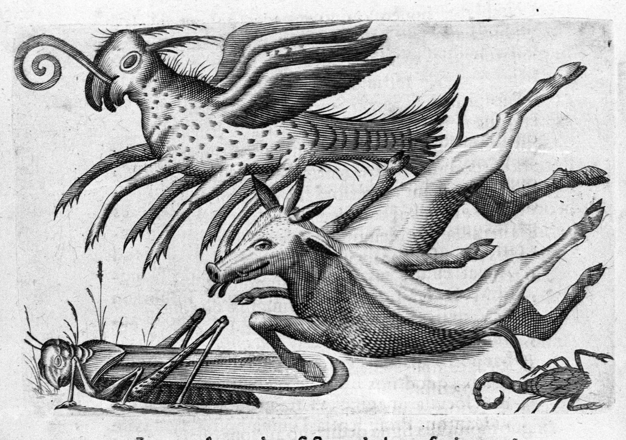 Eri tyyppisiä hirviömäisiä eläimiä. Italian tiedemiehen Fortunio Whilein (1577-1656) kaiverrus "Hirviöiden luonne, niiden syyt ja erot". 1646 tekijältä Italian School