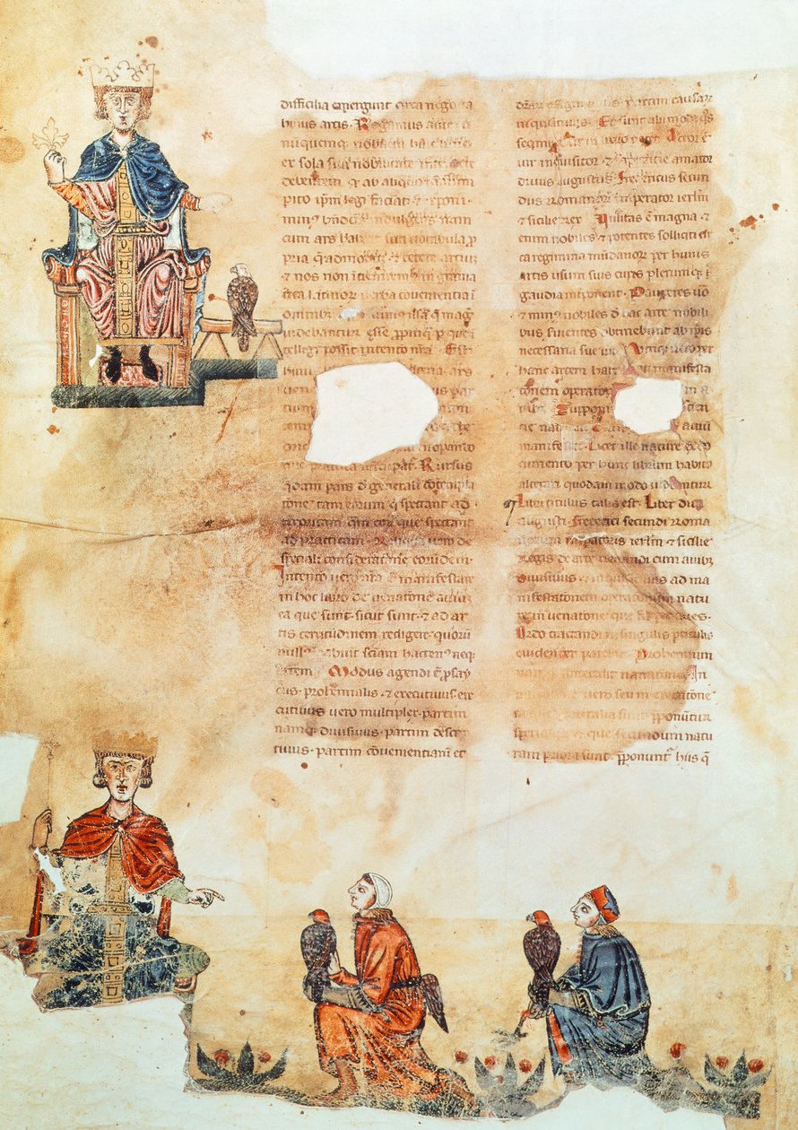 Hohenstaufendin keisari Frederick II, kuvitus teoksesta "De Arte Venandi cum Avibus" (vellum) tekijältä Italian School