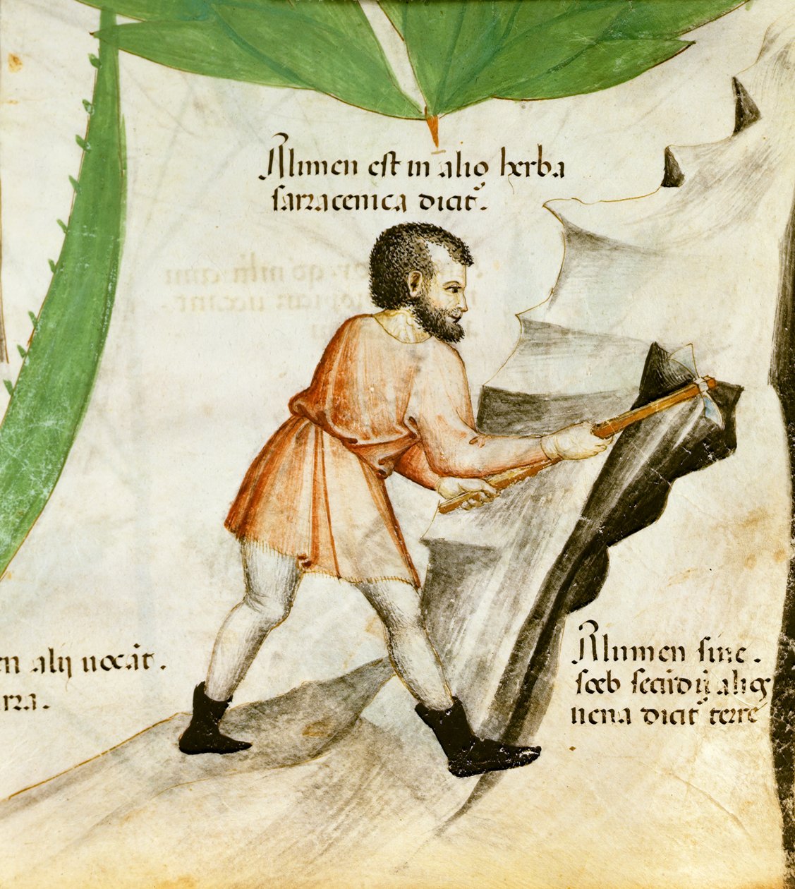 Alunaa, n. 1440 (väri lito) tekijältä Italian School