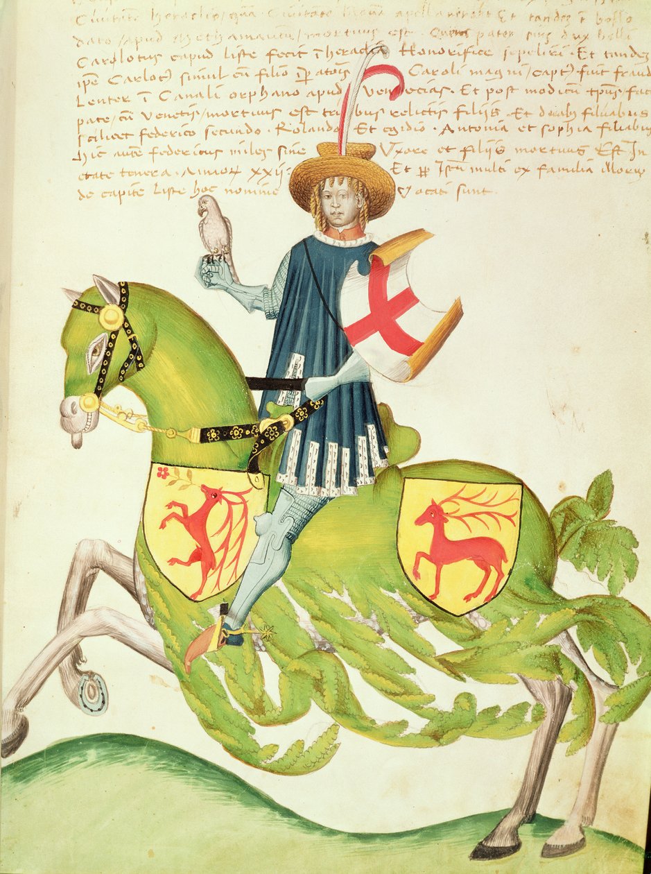 Falconer, Codex Capodilistasta (vellum) tekijältä Italian School