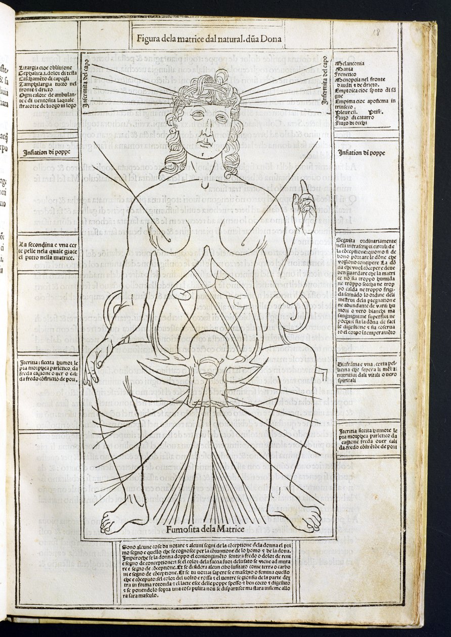 Naisen anatomia Fasciculus Medicinaesta, kirjoittanut Johannes de Ketham (d.c.1490) n. 1507 tekijältä Italian School