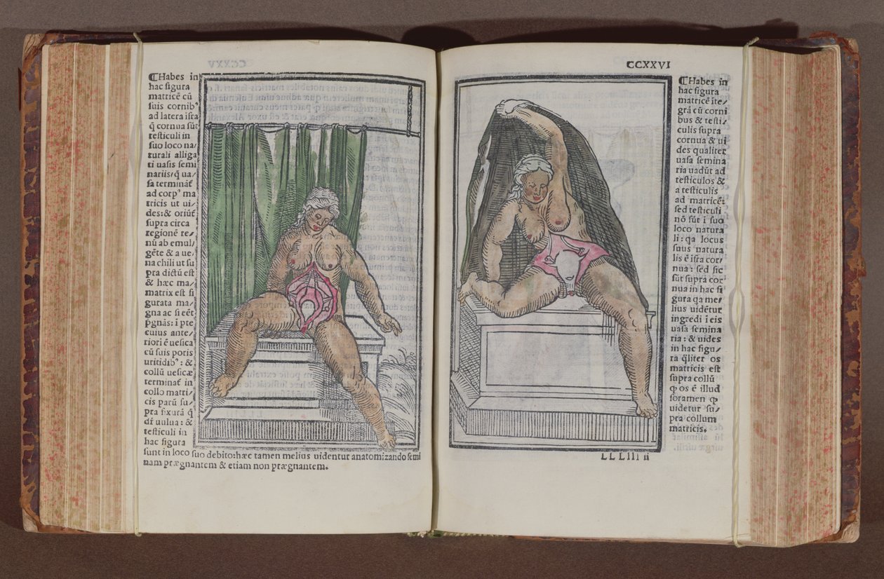 Naisen anatomia, maailman anatomiaa koskevista kommenteista mahtavimmilla lisäyksillä, kirjoittanut Jacopo Berengario da Carpi (n. 1460-n. 1530), julkaistu Bolognassa, 1521 (värinen puupainatus) tekijältä Italian School