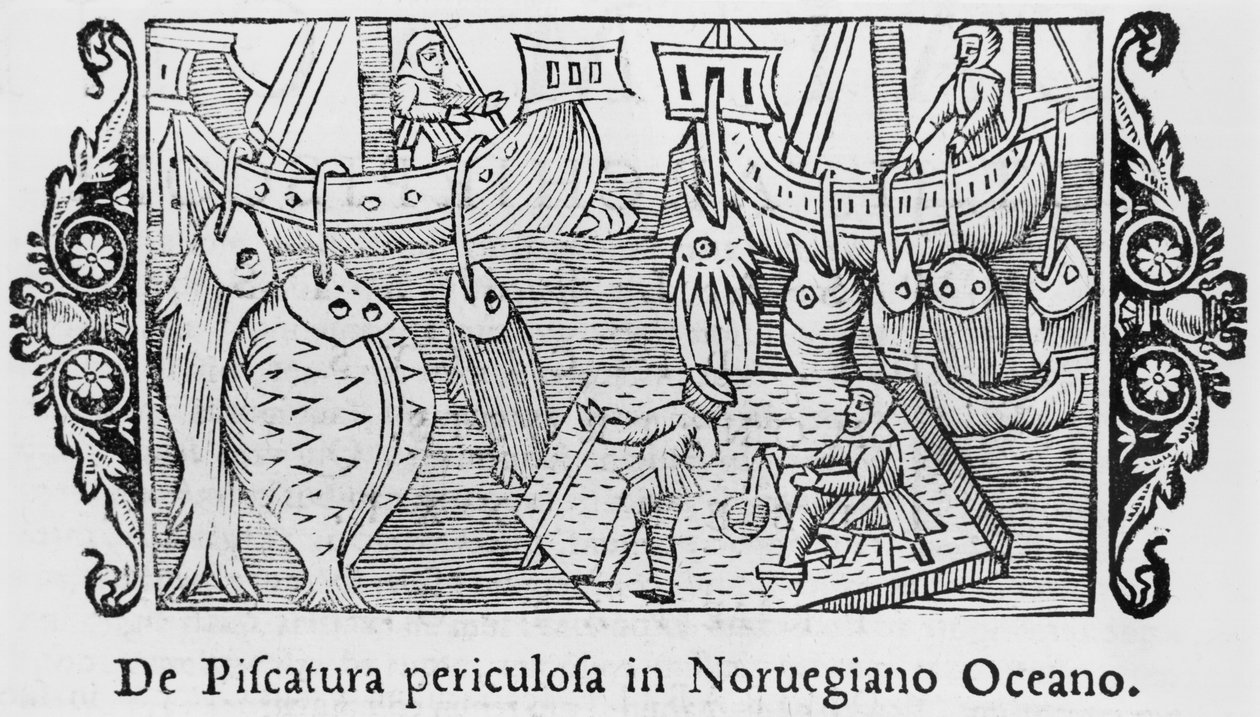 Kalastus Norjan valtamerellä, kuvitus Olaus Magnuksen (1490-1558) teoksesta Northern Nations History, julkaistu Roomassa, 1555 tekijältä Italian School