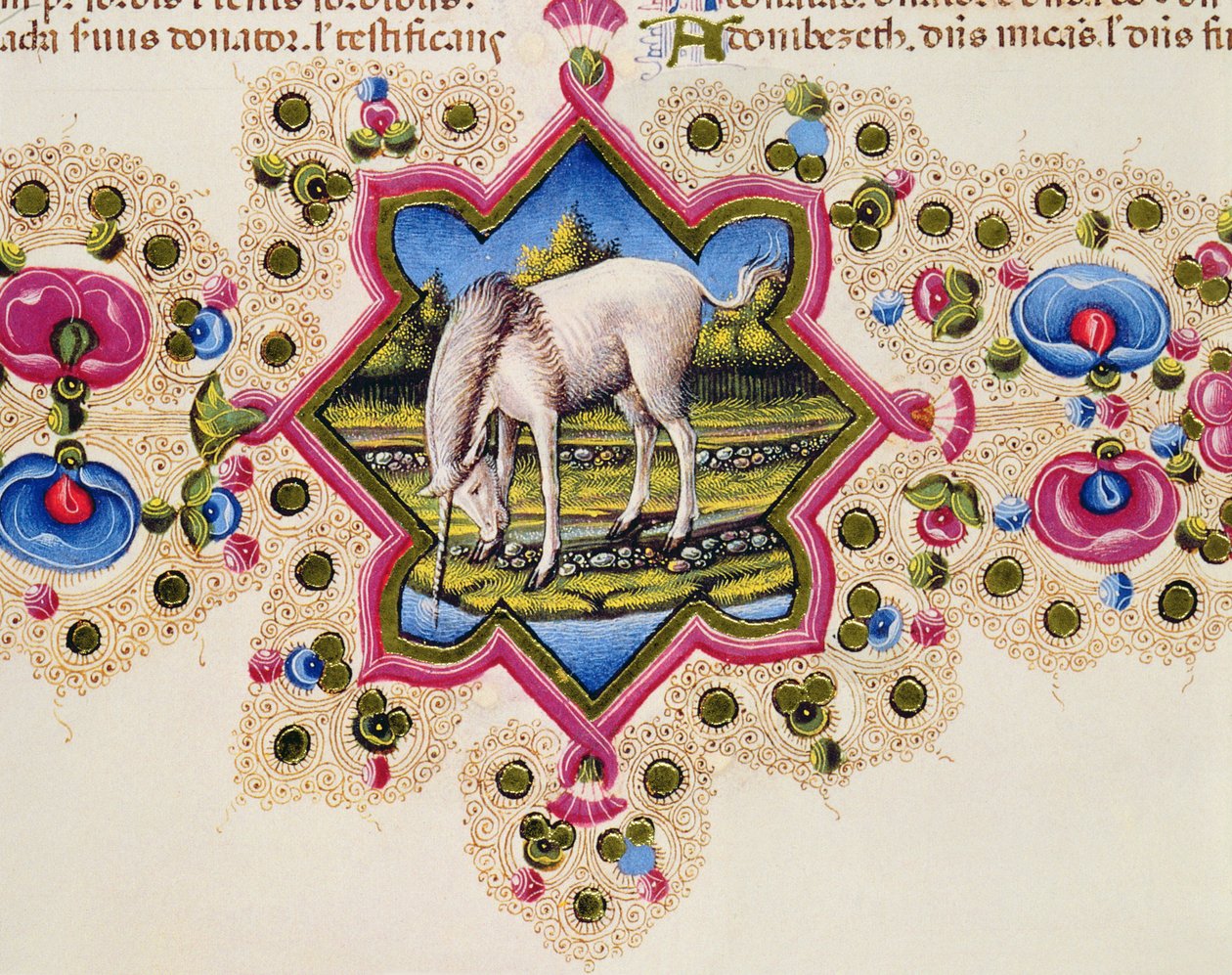 Fol.245V A Unicorn, Borso d