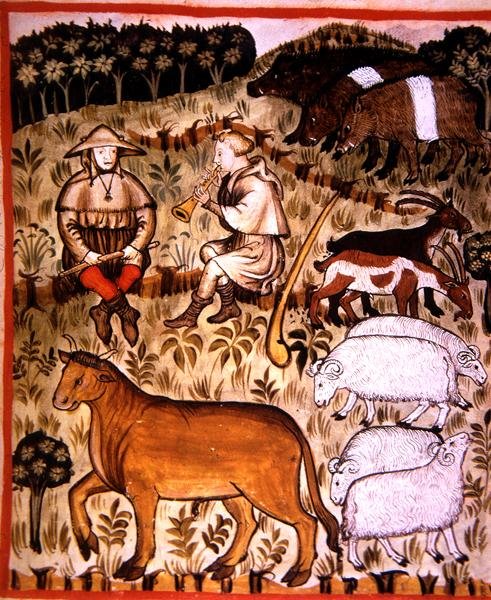 Fol.71r kastroidut eläimet, kuva 