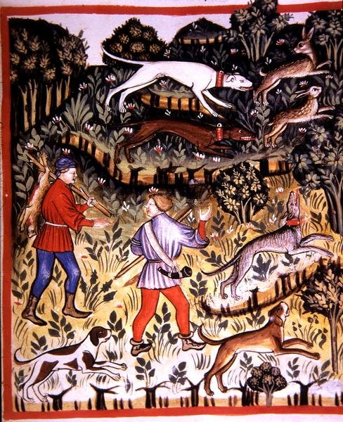 Fol.72r Metsästysjänis, kuvitus 