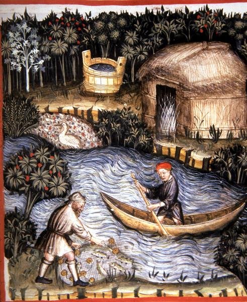 Fol.82r tuore kala, kuva 