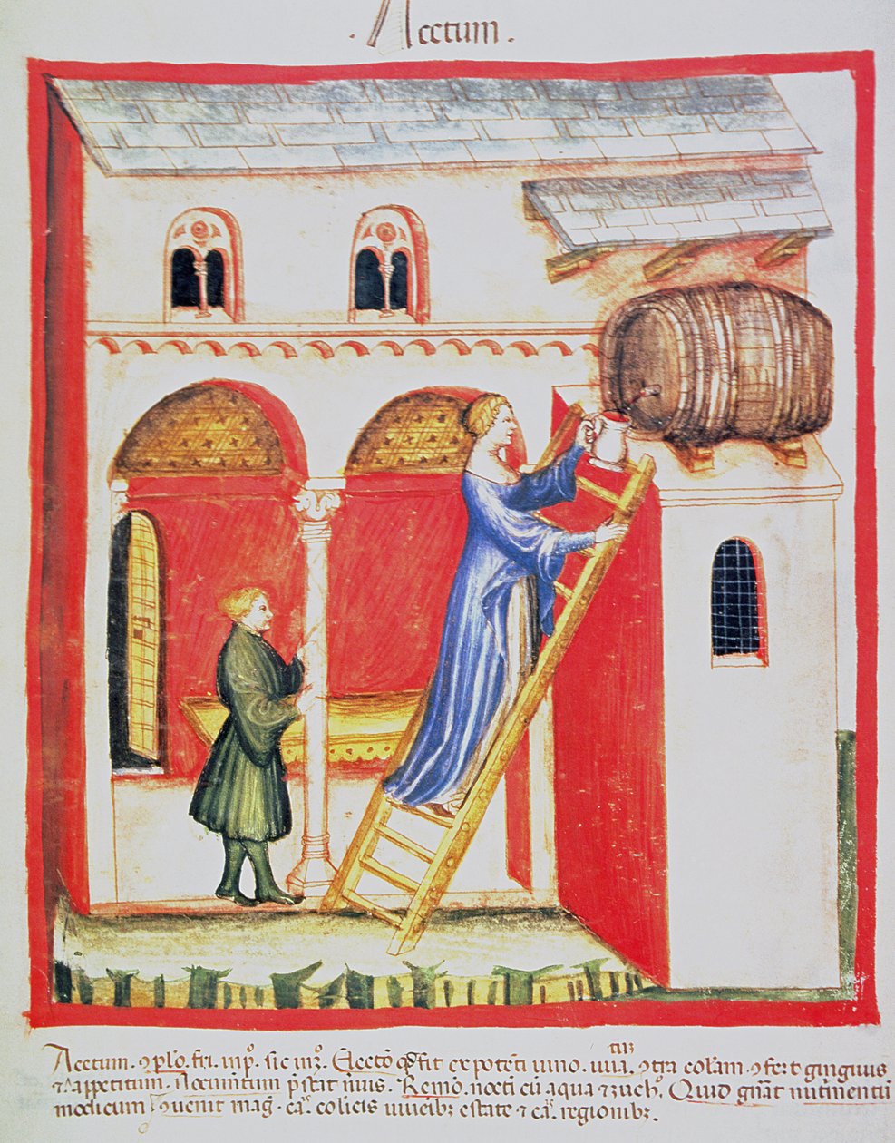 Fol.85v Etikka, kuva Tacuinum Santiatis Codex Vindobonensis tekijältä Italian School