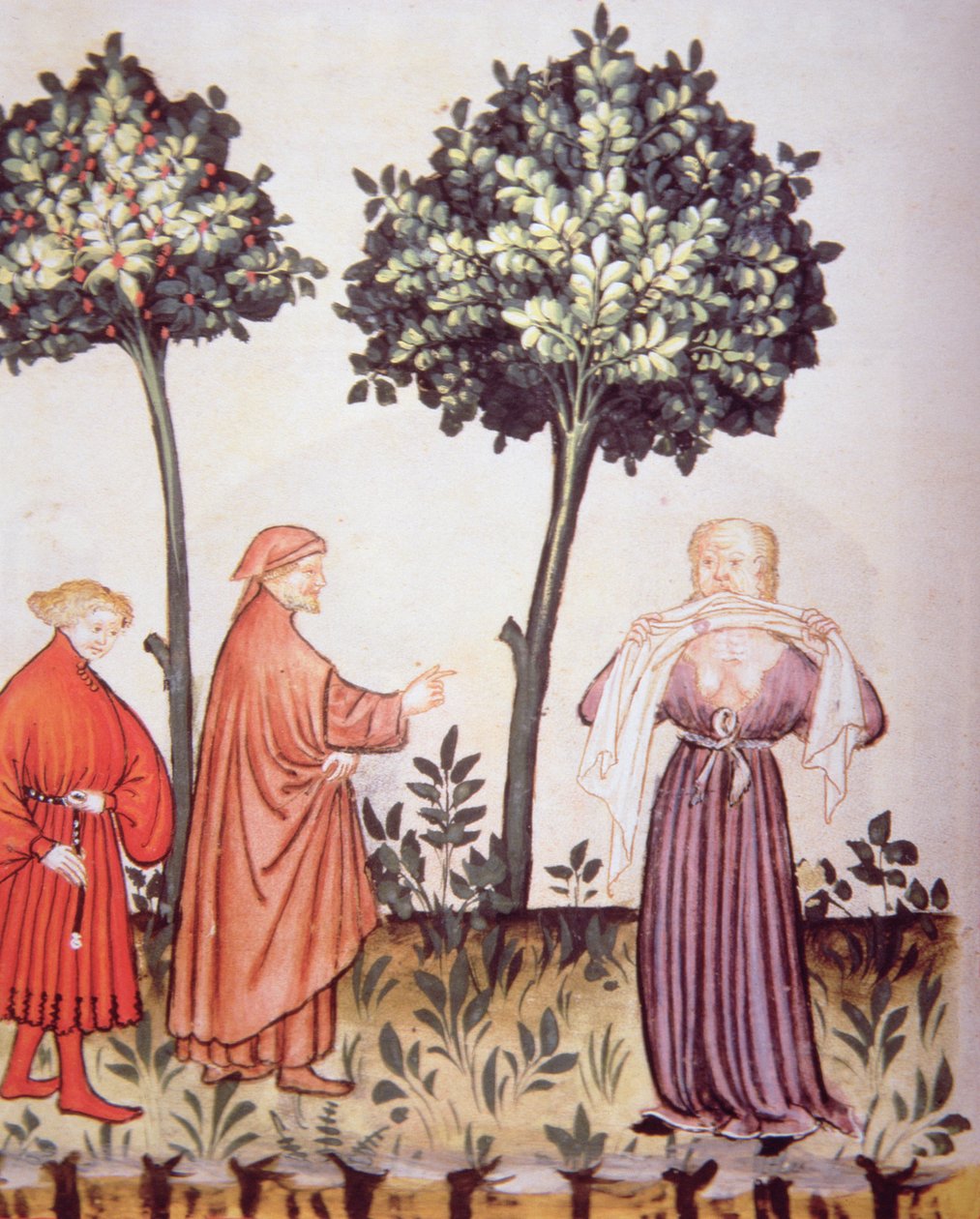 Fol.98v Kolera, kuva Tacuinum Santiatis Codex Vindobonensis tekijältä Italian School