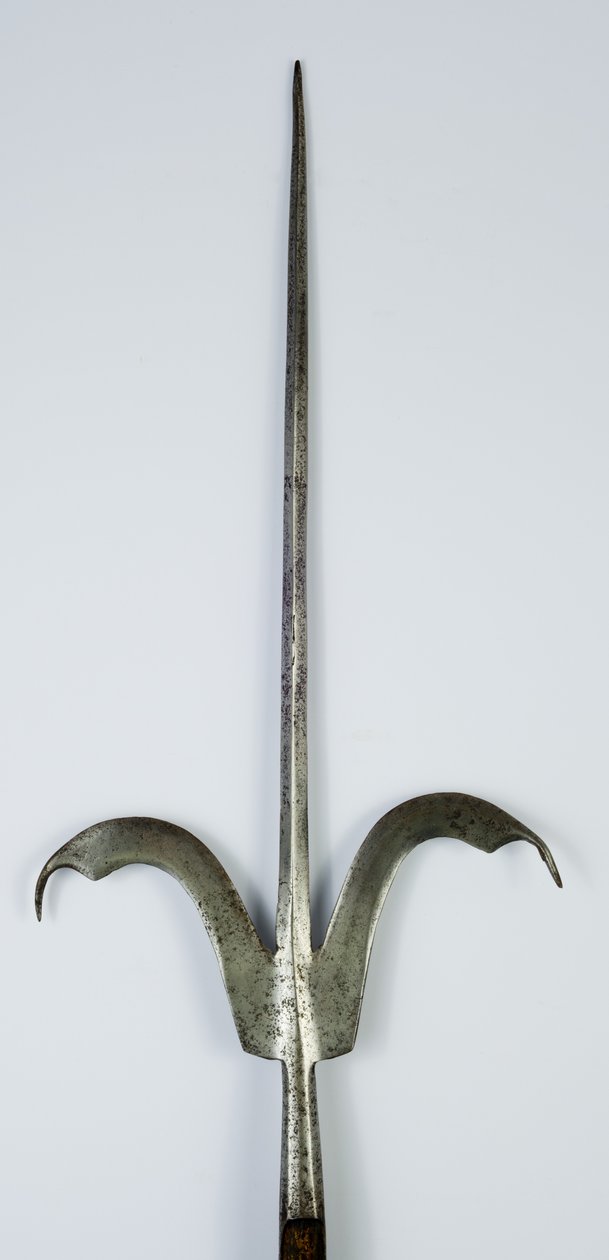 Friuli-keihäs, n. 1600 (teräs ja puu) tekijältä Italian School