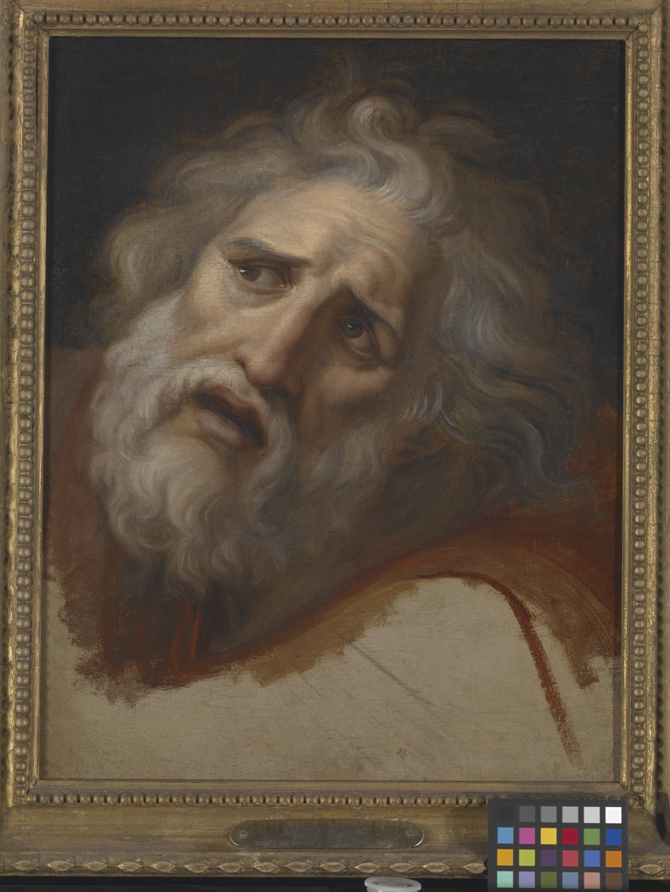 Head Of Laocoon (öljy kankaalle) tekijältä Italian School