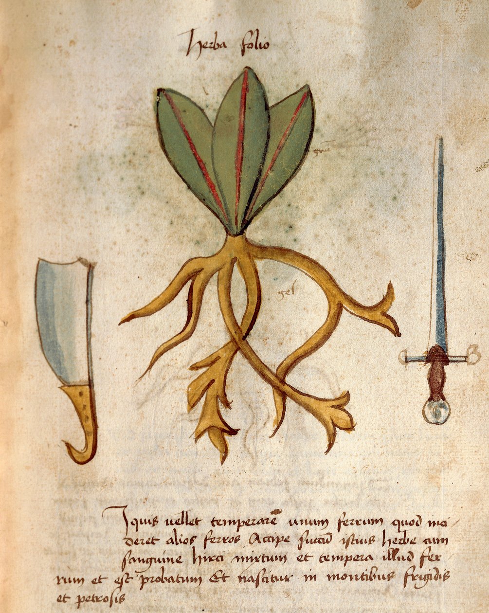 Herba Folio tekijältä Italian School
