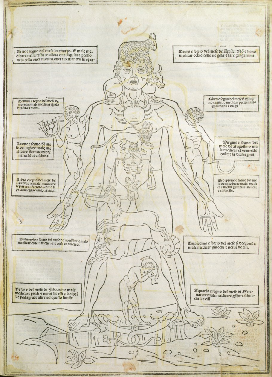Kuvitus "Fassiculus Medicinae" Venetsiasta tekijältä Italian School
