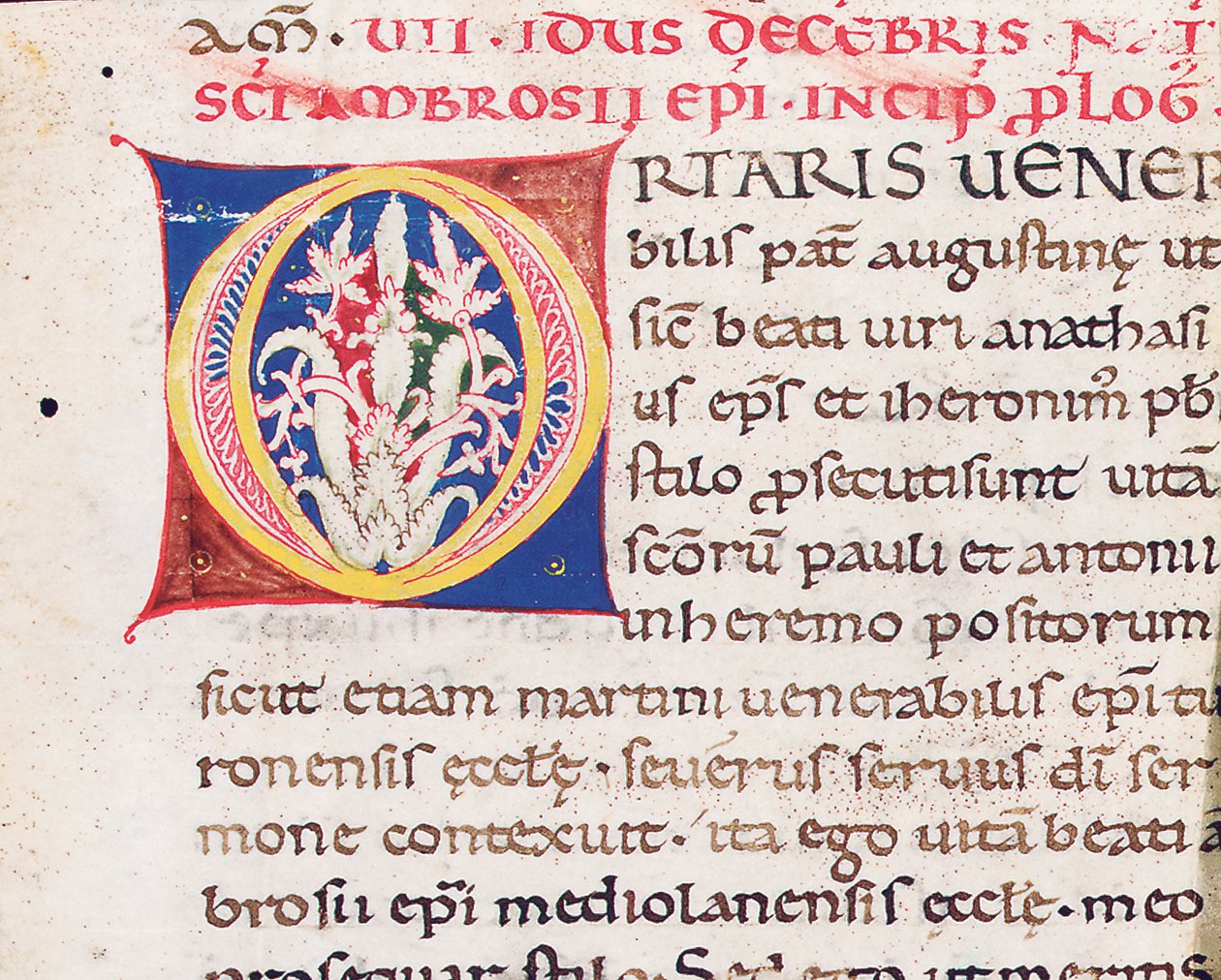Alkukirjain "O" leikkauksen kääntöpuolella Milanon Paulinuksen kanssa, Vita Sancti Ambrosi, luultavasti Toscanasta, n. 1150-75 (muste perunakalvolla) tekijältä Italian School