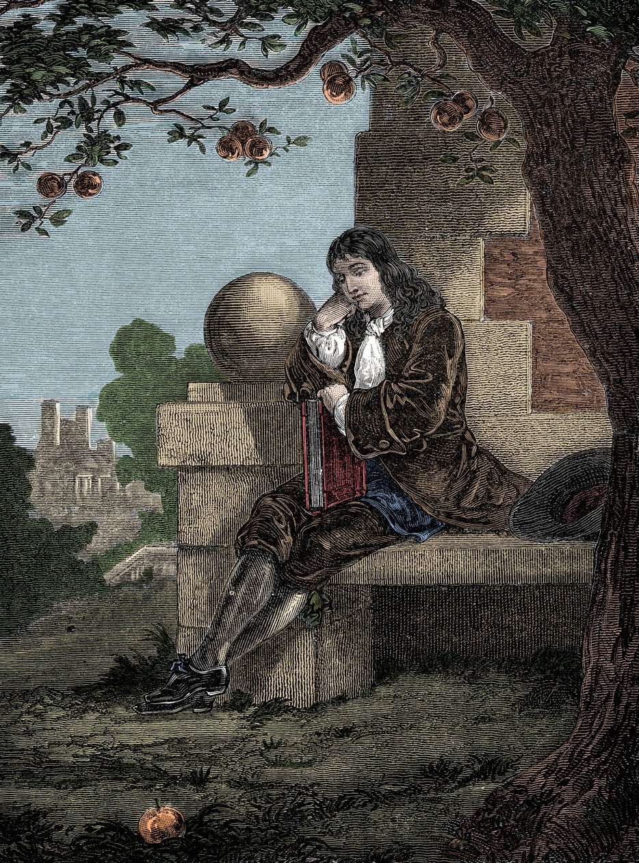 Isaac Newton näkee omenan putoavan maahan istuessaan puun alla tekijältä Italian School