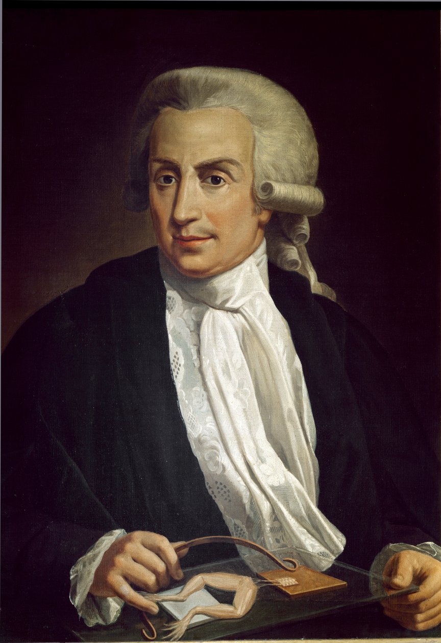 Luigi Galvani sammakkonäytteen kanssa tekijältä Italian School