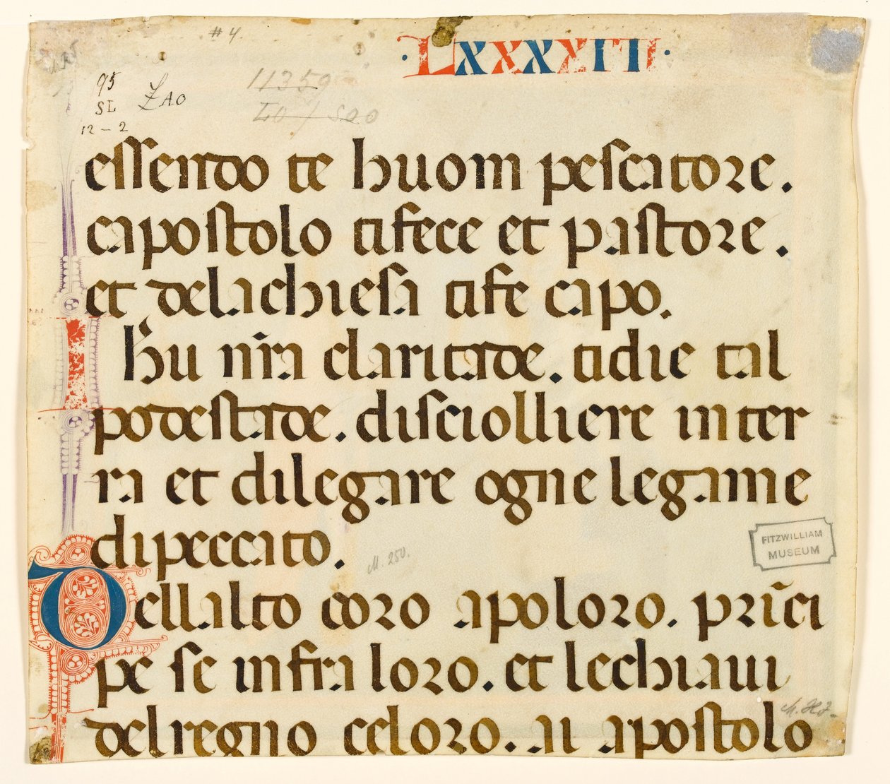MS McClean folio 201.4 v Lauda St. Peterille tekijältä Italian School