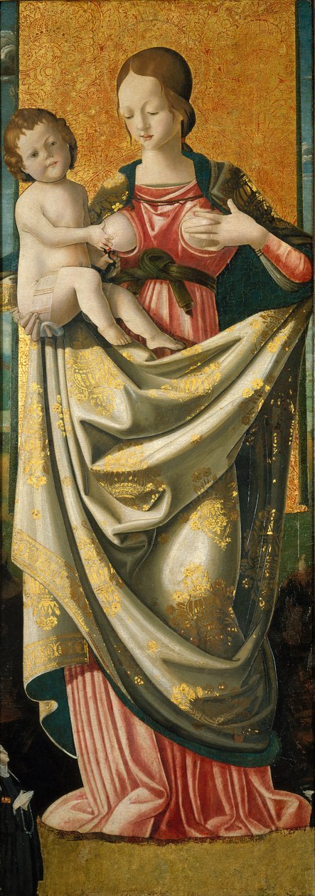 Madonna del Suffragio, n. 1520 (tempera kovapuupaneelilla) tekijältä Italian School
