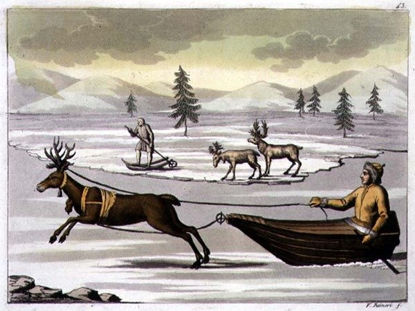 Uros- ja naaraspeura ja lappilainen rekillään poron vetämänä, levy 43 