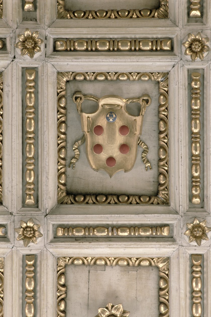 Escut dels Medici, de l