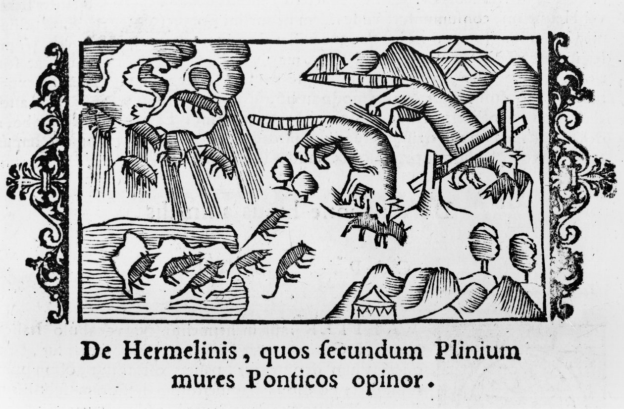 Lemminkien vaellus, Olaus Magnuksen (1490-1558) "Historia de Gentibus Septentrionalibus" -teoksesta, joka julkaistiin Roomassa 1555. tekijältä Italian School