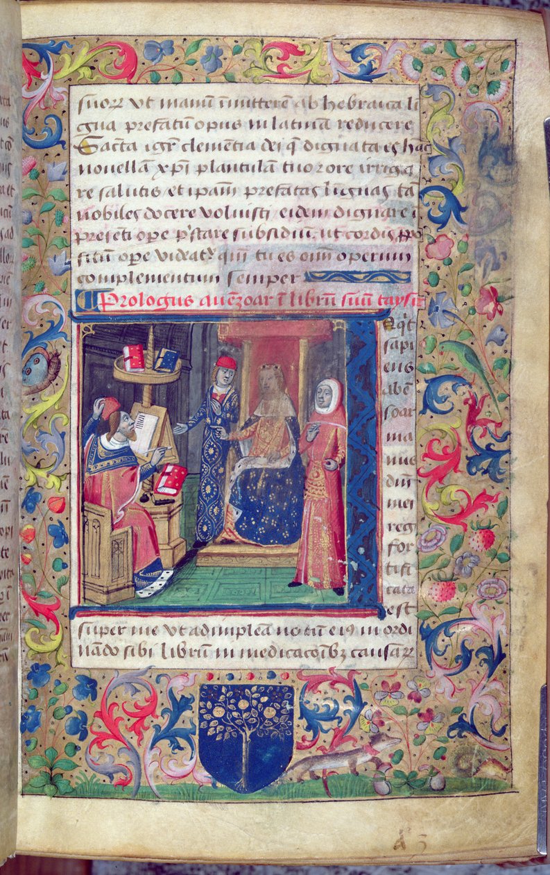 Ms 5113 John Capualaisen (fl.1262) esitys hänen suojelijalleen käännöstään latinaksi teoksesta "Al-Taisir", Ibn Zuhrin (Avenzoar) (1091-1161) sairauksia koskeva tutkielma (vellum) tekijältä Italian School