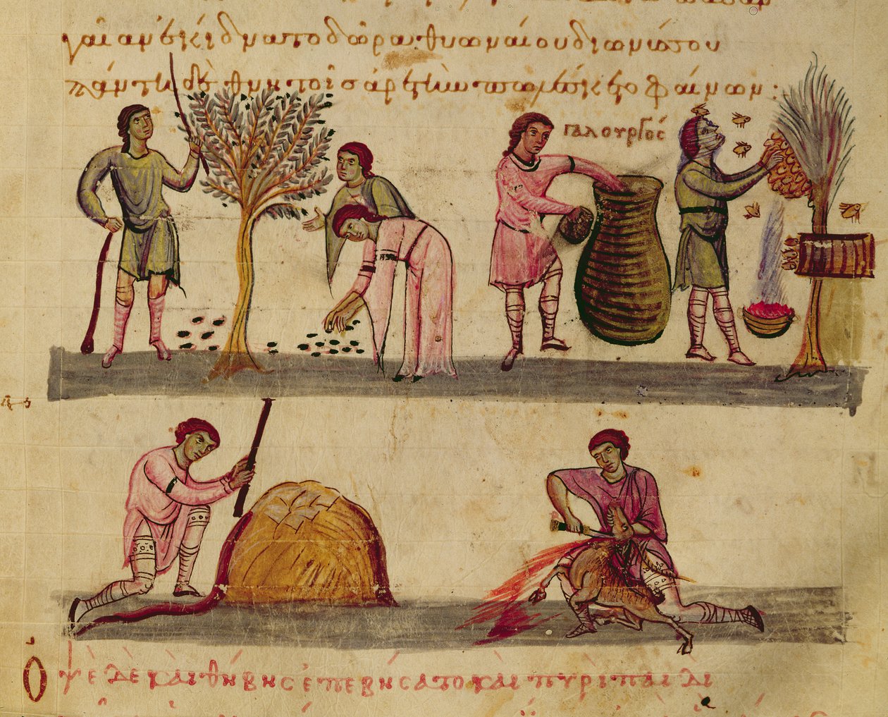 Ms Grec 479 Peltotyöskentely, kuvitus Oppianin Cynegeticasta (tempera perulla) tekijältä Italian School