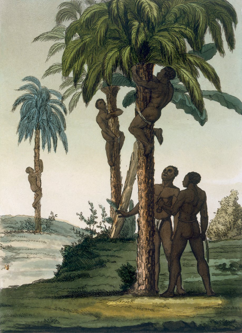 Alkuperäisasukkaat kiipeävät kämmenissä riimuilla lantion ympärillä, 1820-30-luku tekijältä Italian School