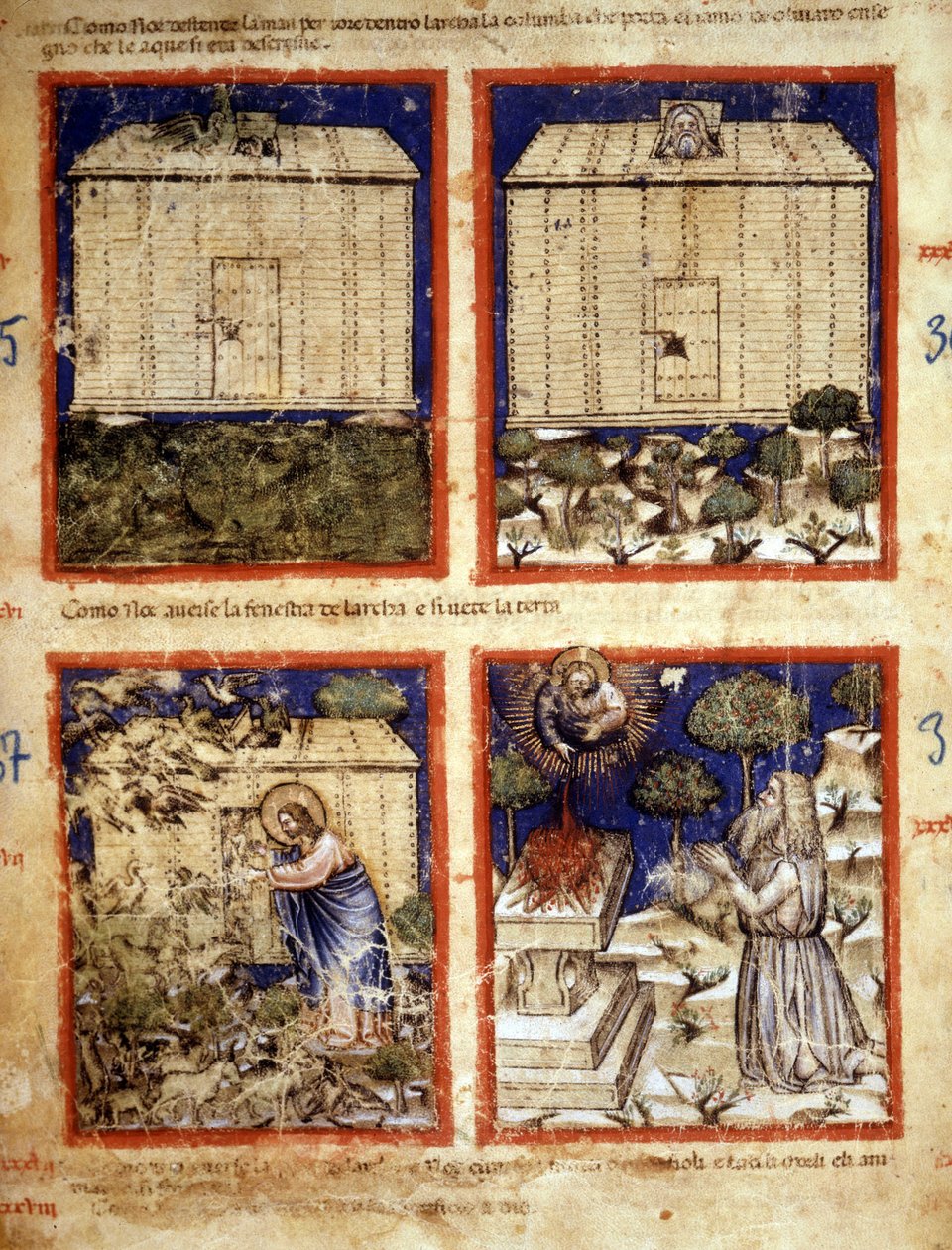 Nooan arkki, miniatyyri otettu koodista 212 (tai Padovano-koodi tai Padovan Raamattu) 1390-1400 Rovigo, Accademia dei Concordi tekijältä Italian School