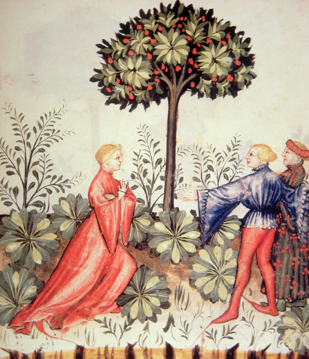 Nova 2644 fol.24r Harvesting Sinappi, valmistaja Tacuinum Sanitatis tekijältä Italian School