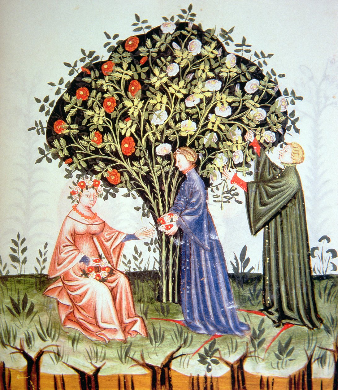 Nova 2644 fol.38r Gathering Roses, kuva Tacuinum Santiatis Codex Vindobonensis tekijältä Italian School