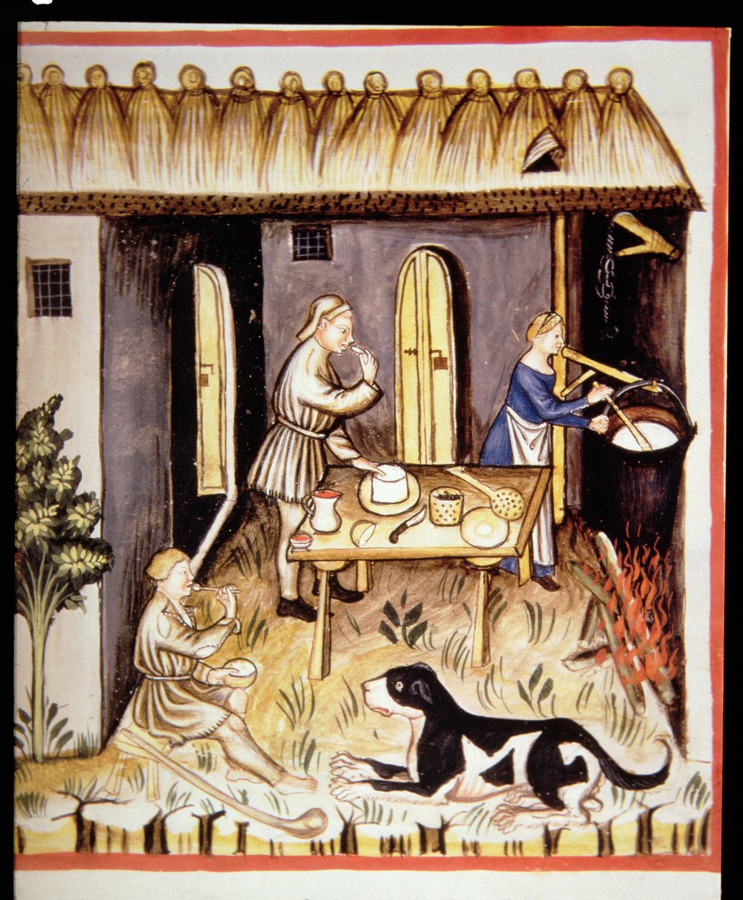Nova 2644 fol.62r Valkojuuston valmistus, Tacuinum Sanitatis tekijältä Italian School