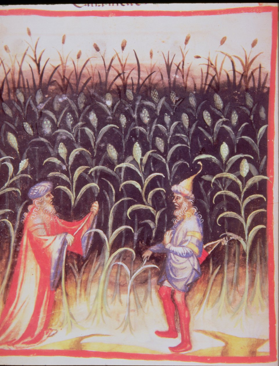 Nova 2644 fol.92v Sokeriruo
