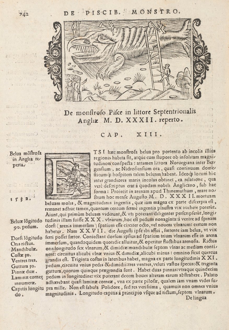 Sivu 742 Magnus Olausin teoksesta Northern Gentivus, Rooma 1565 (painatus ja kaiverrus) tekijältä Italian School