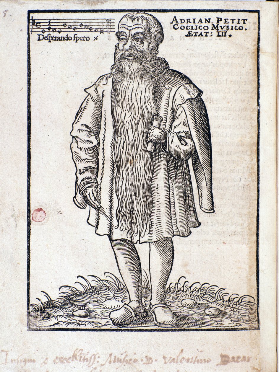 Muotokuva Adrianus Petit Coclicosta (1500-1562), hollantilainen renessanssin säveltäjä. tekijältä Italian School