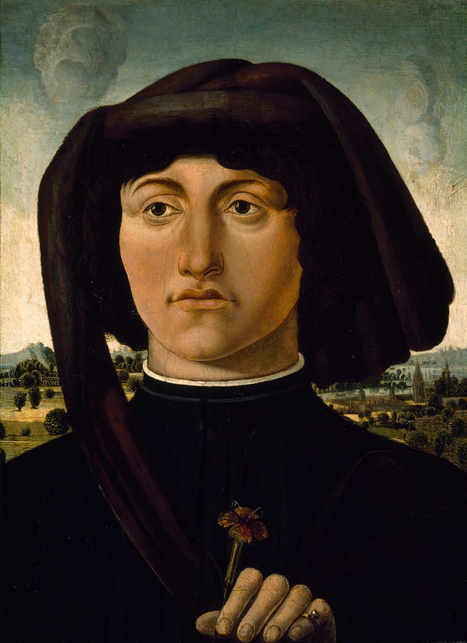 Muotokuva nuoresta miehestä, jolla on vaaleanpunainen kukka, n. 1475-85 (tempera puulla) tekijältä Italian School