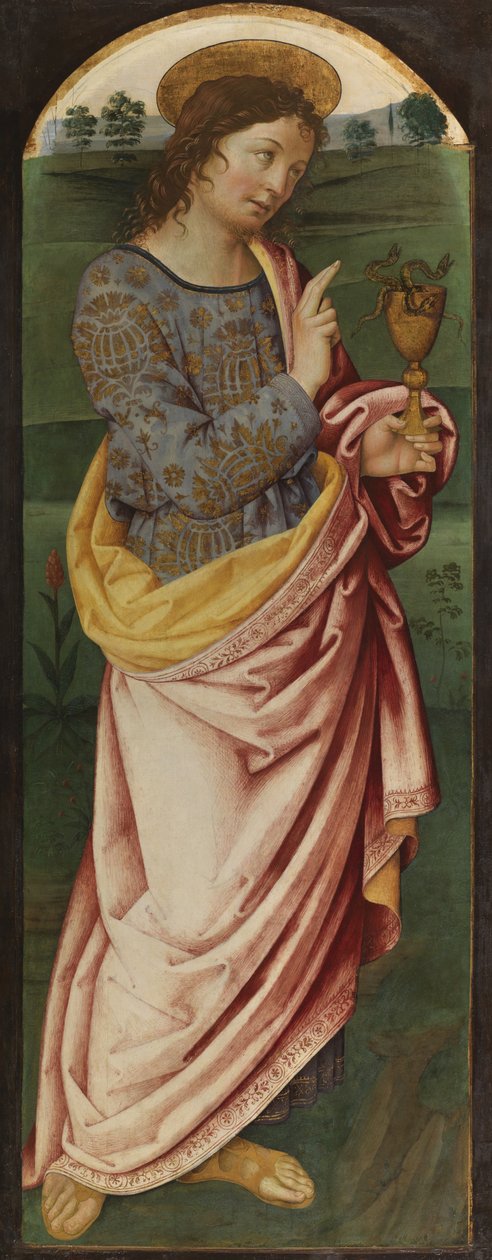 Pyhä Johannes evankelista, n. 1470-1490 (tempera paneelissa) tekijältä Italian School