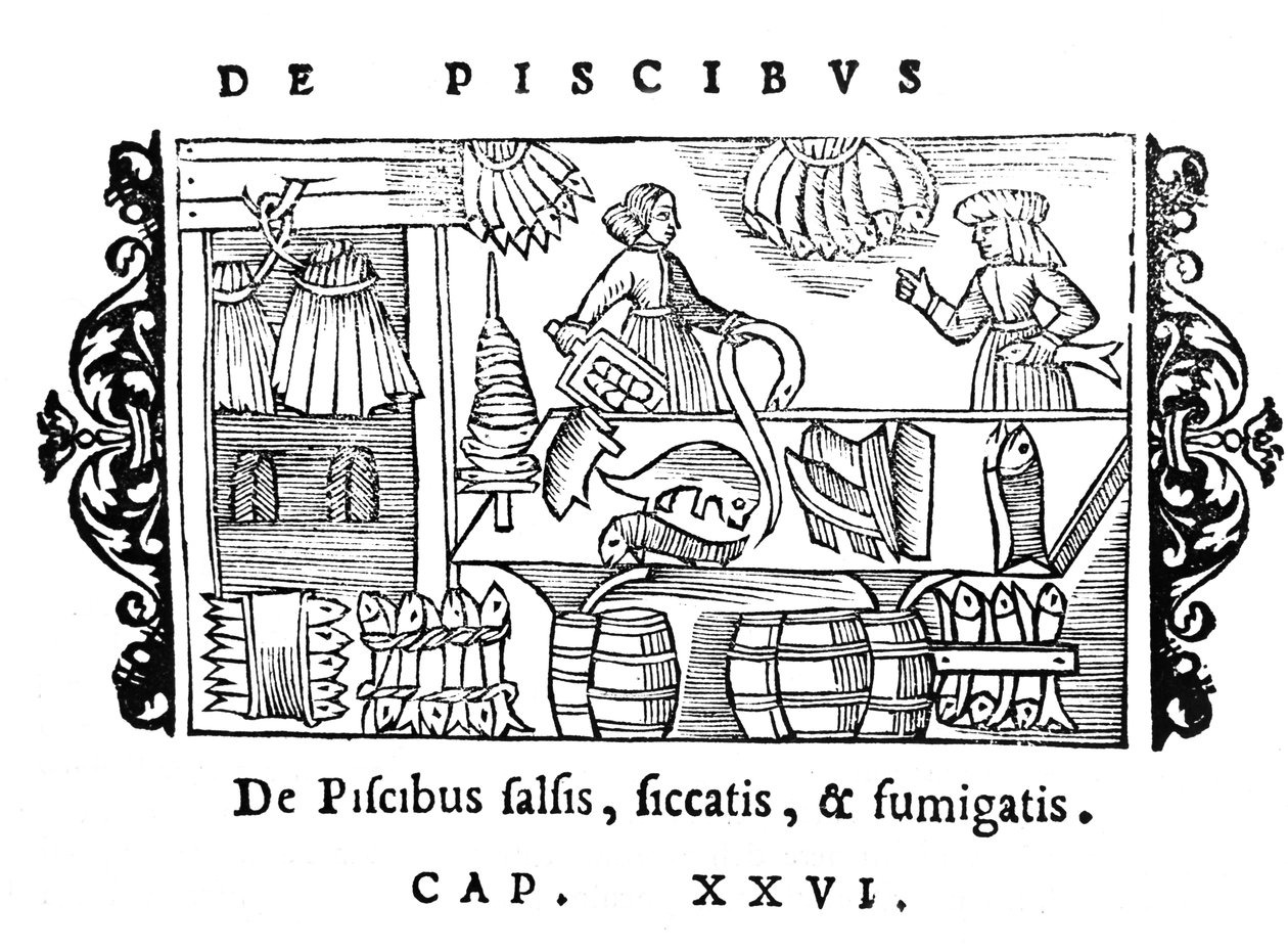 Kalan suolaus, kuivaus ja savustaminen, kuvitus Olaus Magnuksen (1490-1558) Historia de Gentibus Septentrionalibusista, julkaistu Roomassa, 1555 tekijältä Italian School