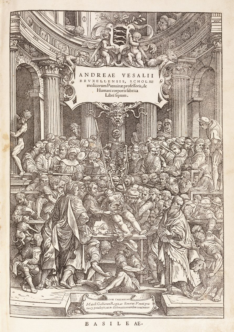 Kirjoittaja suorittaa anatomista dissektiota kirurgisessa teatterissa, 1543 tekijältä Italian School