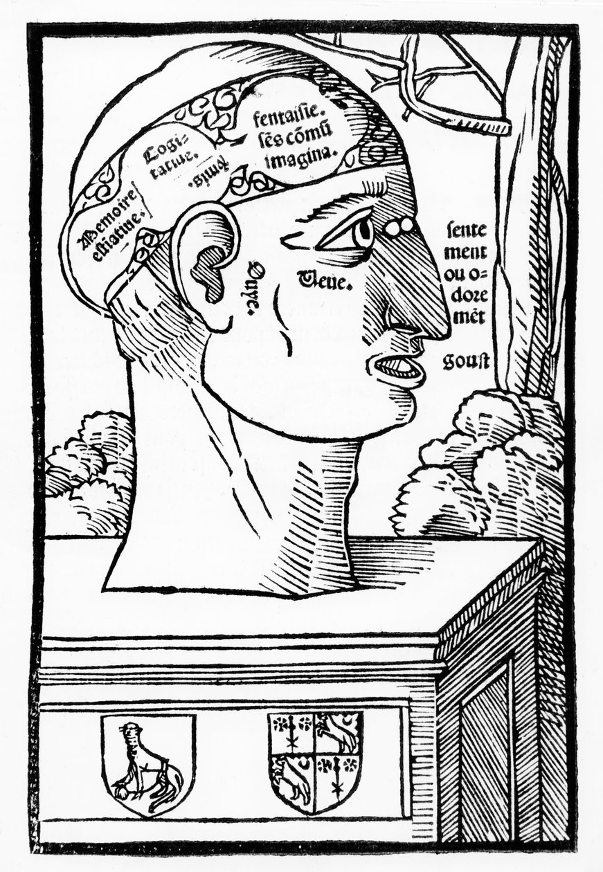 The Brain and Human Faculties, Anatomia Mundini, ranskalainen painos, julkaistu 1537 tekijältä Italian School