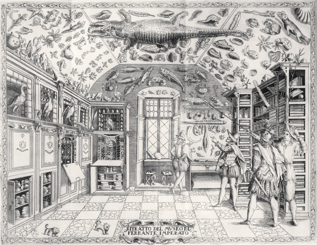 Ferrante Imperaton (1550-1631) pubin keisari Ferdinand III:n luonnontieteellinen museo Historia Naturalesta. vuonna 1672 tekijältä Italian School