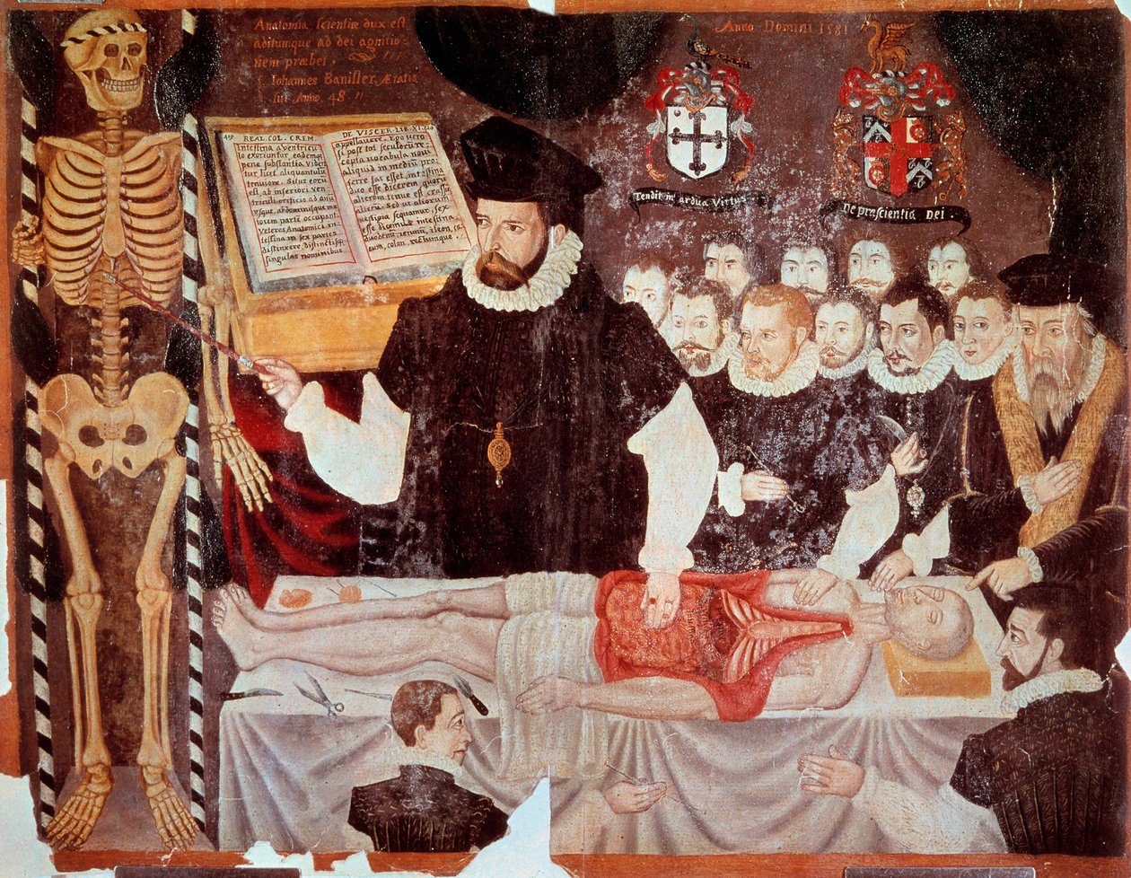 John Banisterin (1533-1610) anatomian luento Barber Surgeons Hallissa vuonna 1548 Matteo Realdo Colombon (Renaldus Columbus) (1516-1559) eturintamamaalaus "De re anatonomica" (1516-1559) 1580. Paris, B.N. - John Banister (1533-1610) antaa ana tekijältä Italian School