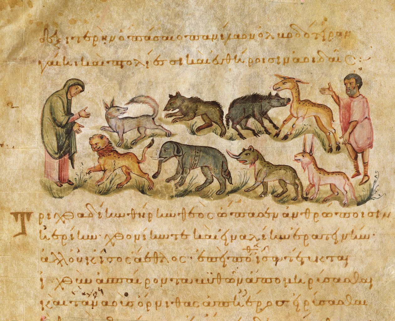 Tutkielma monista maan päällä elävistä eläinlajeista, kuvitus Oppianin Cynegeticasta (tempera vellum) tekijältä Italian School