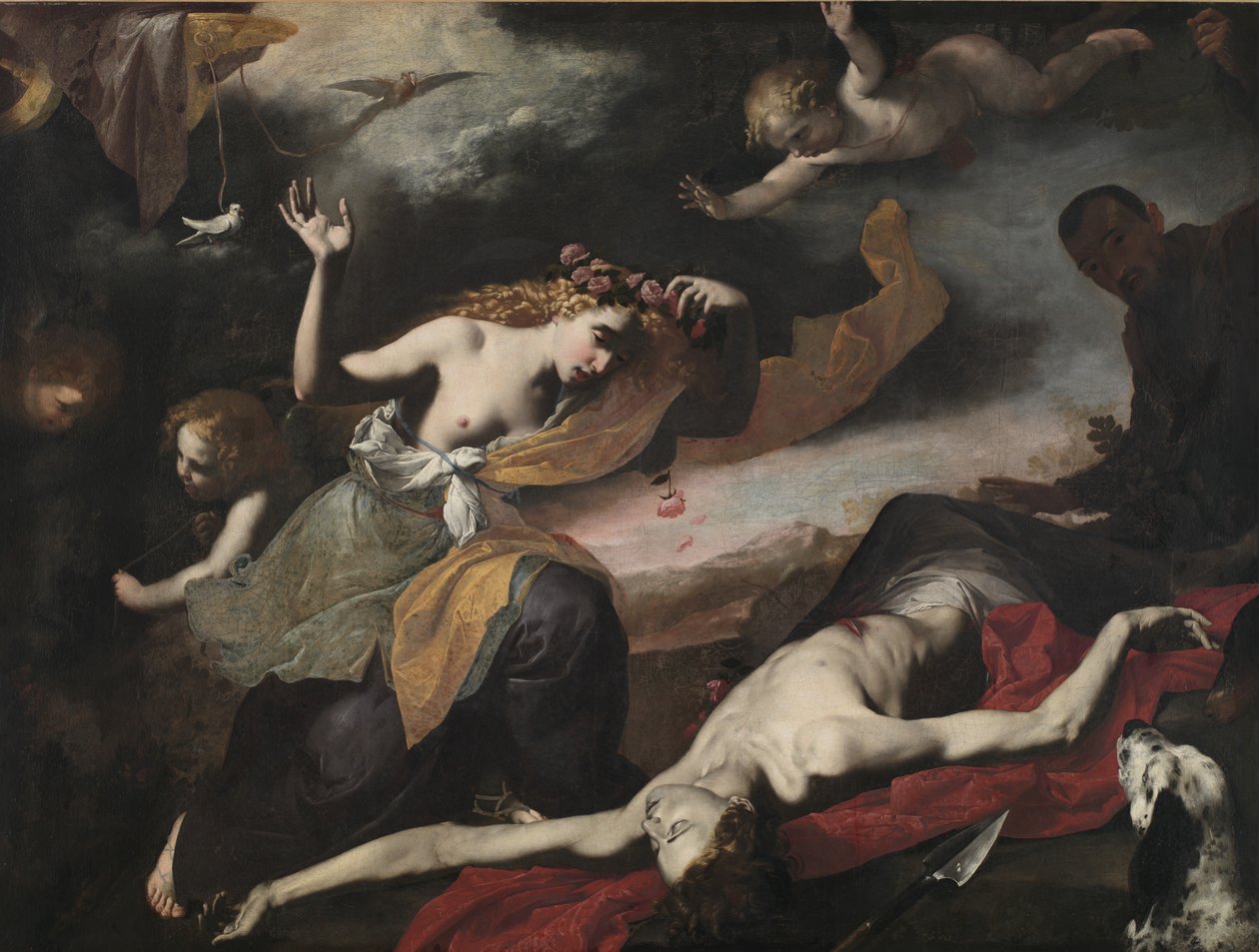 Venus etsii kuolleita Adonis, n. 1650 tekijältä Italian School