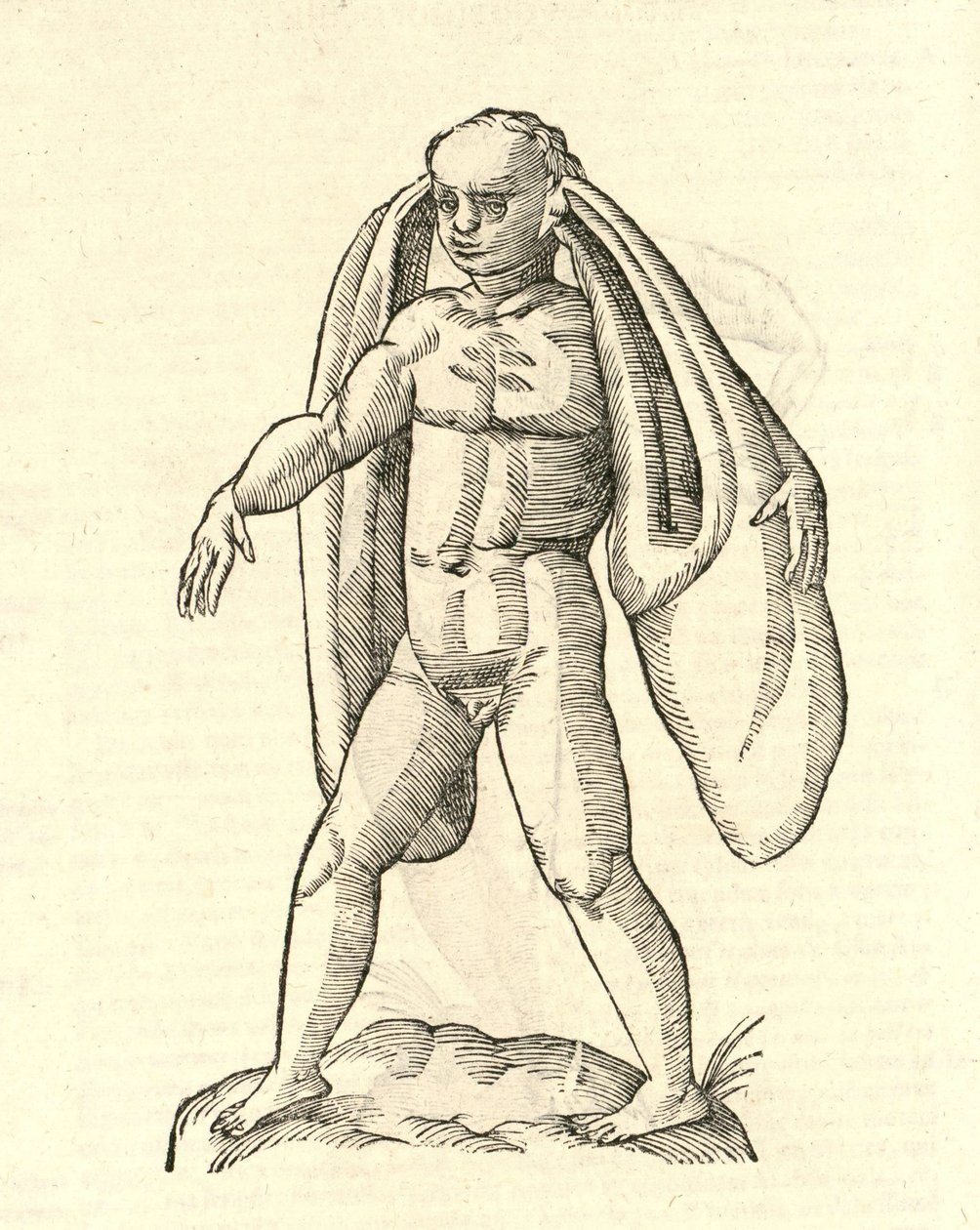 kuva Homo Fanesius aurituksesta Aldrovandis History of Monsters , 1642 tekijältä Italian School
