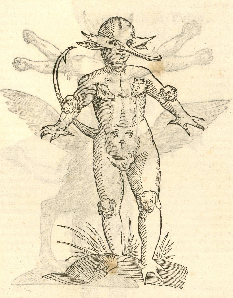 kuva Child