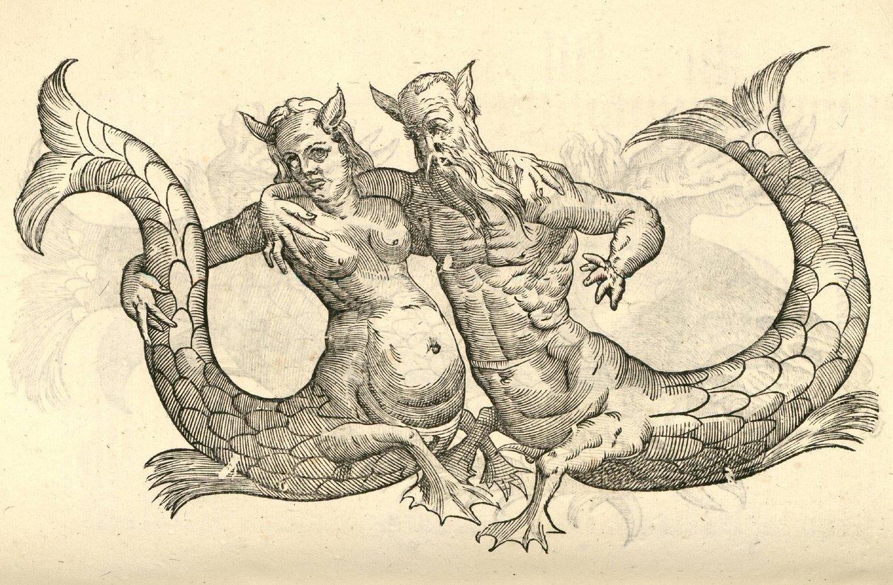kuva Monstera Milaca Pareista Aldrovandus History of Monsters , 1642 tekijältä Italian School