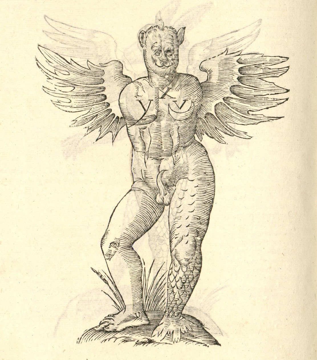 kuva siivekkäästä hirviöstä Aldrovandis History of Monsters -julkaisusta, 1642 tekijältä Italian School